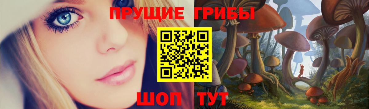 Галлюциногенные грибы прущие грибы  Галлюциногенные грибы ЛСД  купить наркоту  Котельники  Вход с VPN 